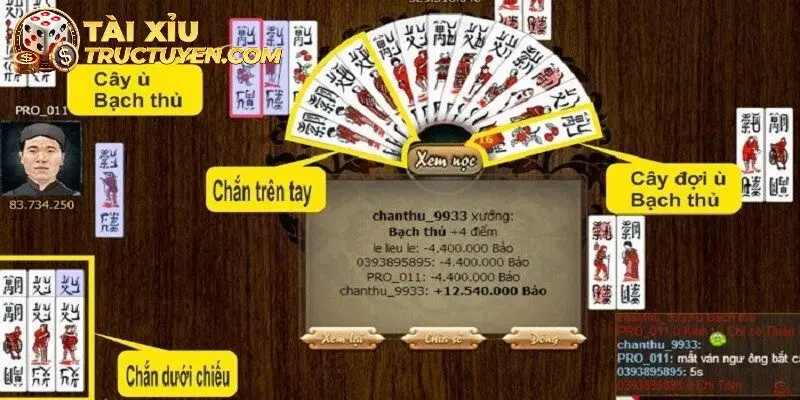 các cước ù chắn