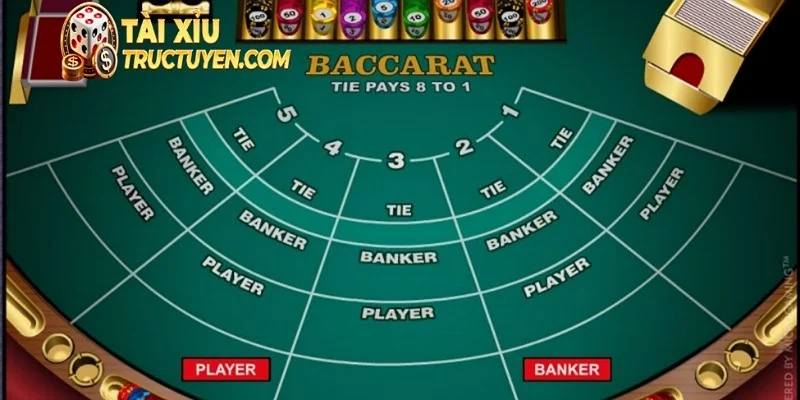 Cách bắt hoà baccarat