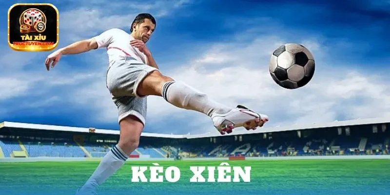 cược xiên là gì taixiutructuyen