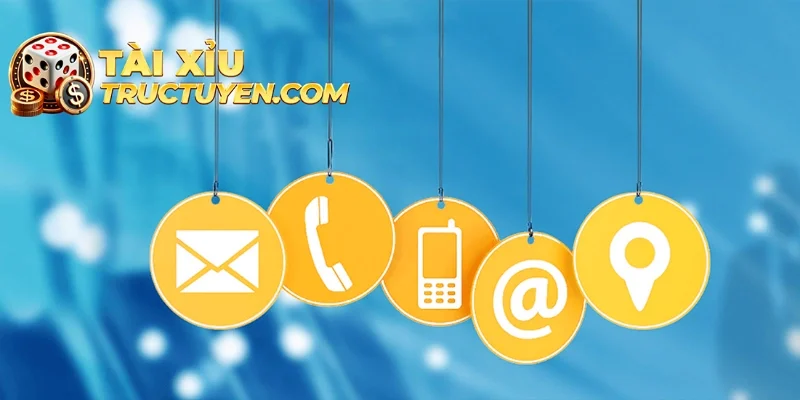 Lý do bạn cần liên hệ đến Taixiutructuyen.com